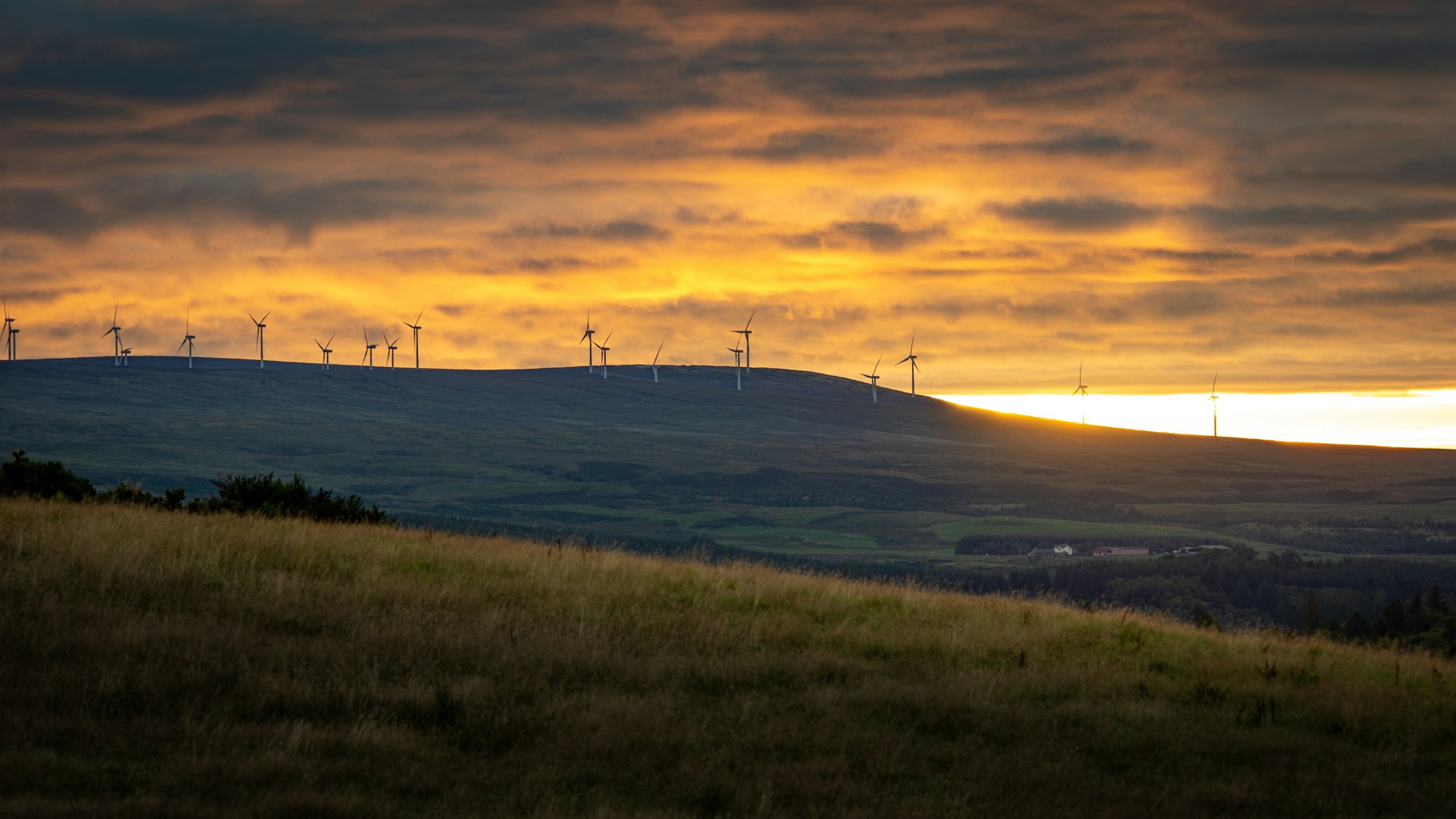 Renewable Energy Scotland